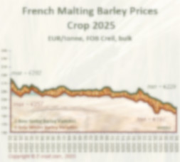 Prices evolution