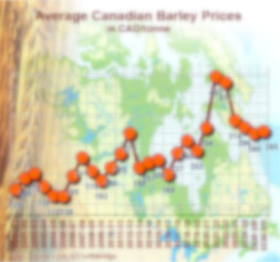 Prices evolution