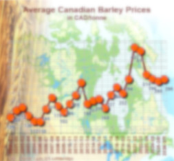 Prices evolution