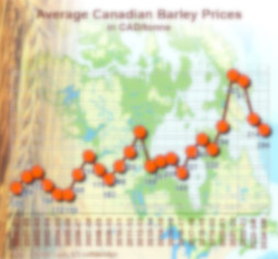 Prices evolution