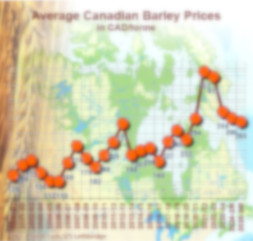 Prices evolution